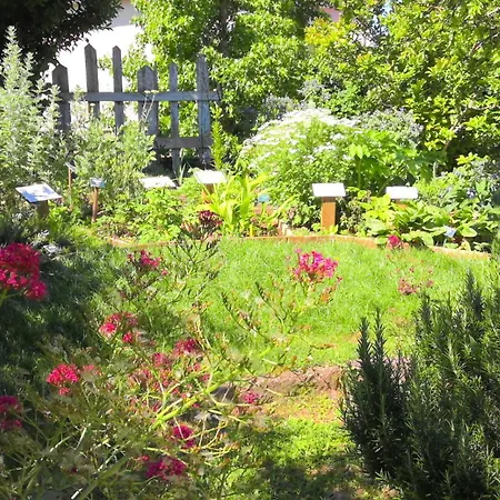 La Maison Lourego Tournesol *