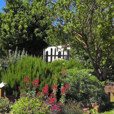 La Maison Lourego Tournesol Lejlighed Hauterives